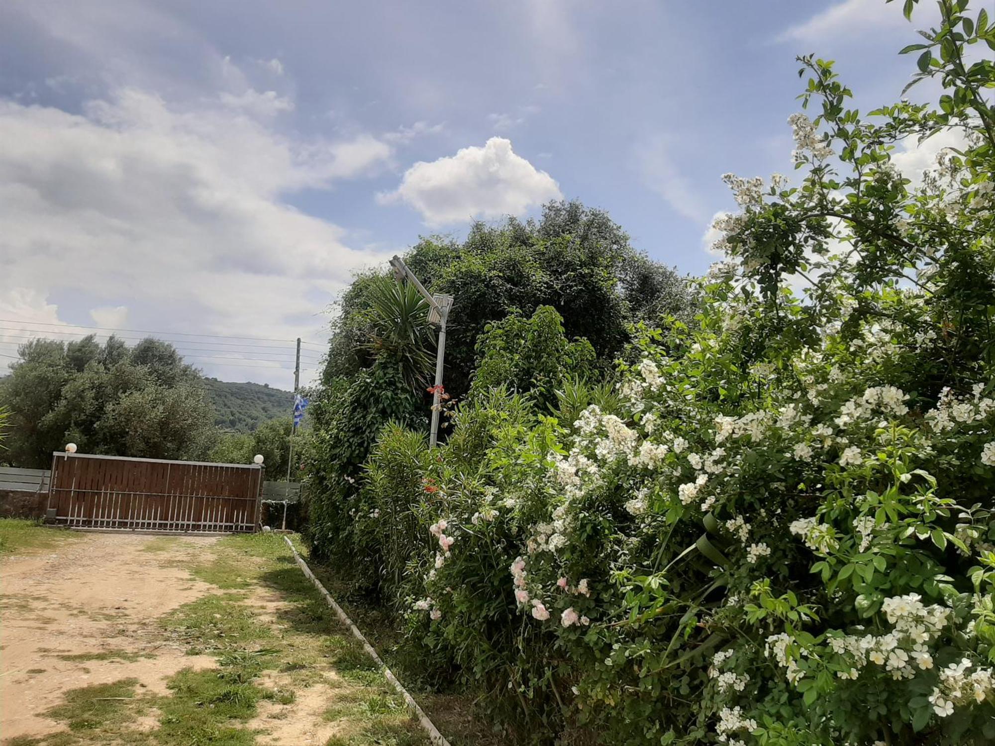 Вилла The Mansion Of Dionisos And Dimitras Linaria  Экстерьер фото